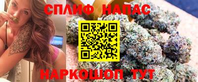 mdpv Малоярославец