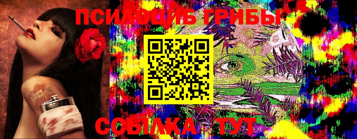 что такое наркотик  Псилоцибиновые грибы мухоморы  Фрязино  Вход с VPN  Галлюциногенные грибы прущие грибы 